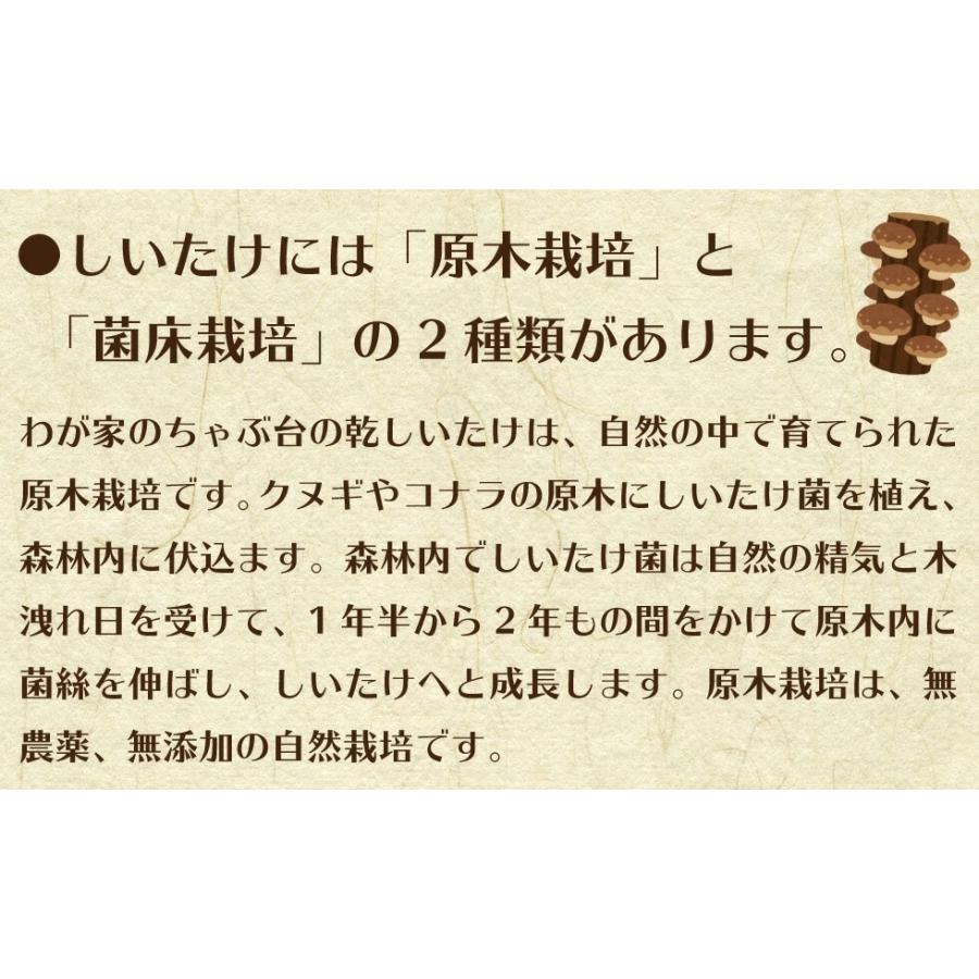 九州産　われ葉 乾しいたけ　40g×2袋セット 　  国産 無添加 無農薬 干ししいたけ 椎茸 しいたけ シイタケ 訳あり お徳用