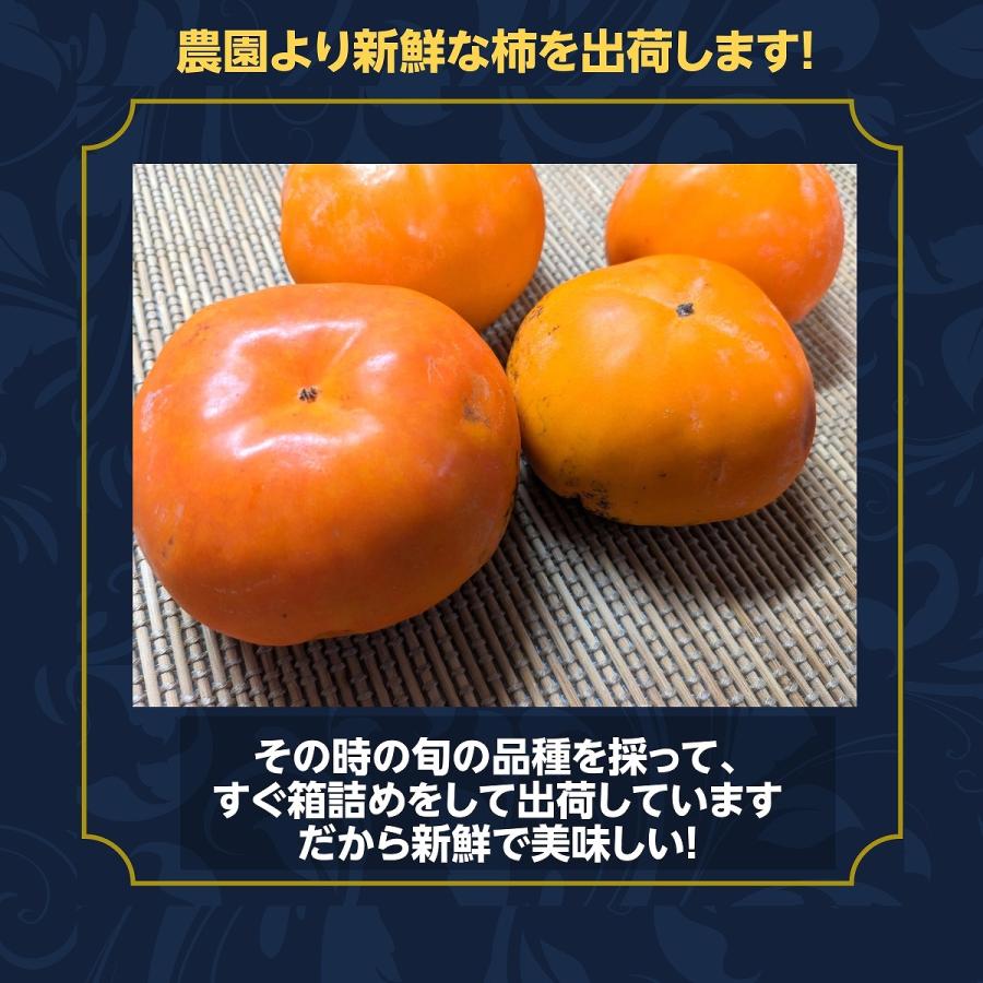 柿 甘柿  やさとの柿 富有柿・次郎柿等  3.5kg L 16個 茨城県石岡市 《11 下旬〜12 上旬より出荷》