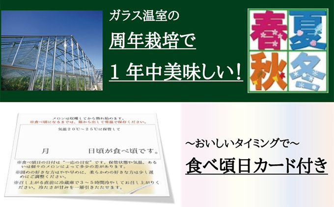 クラウンメロン 定期便 偶数月 6回 白等級 1玉入 果物 くだもの フルーツ メロン マスクメロン デザート 青肉 お楽しみ