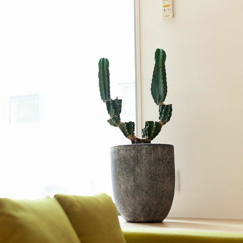 大型 鉢カバー ファイバーセメント ファイバー エコストーン 楽天市場