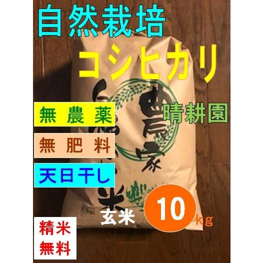 令和5年産　コシヒカリ　自然栽培　無農薬　無肥料　天日干し　玄米10kg