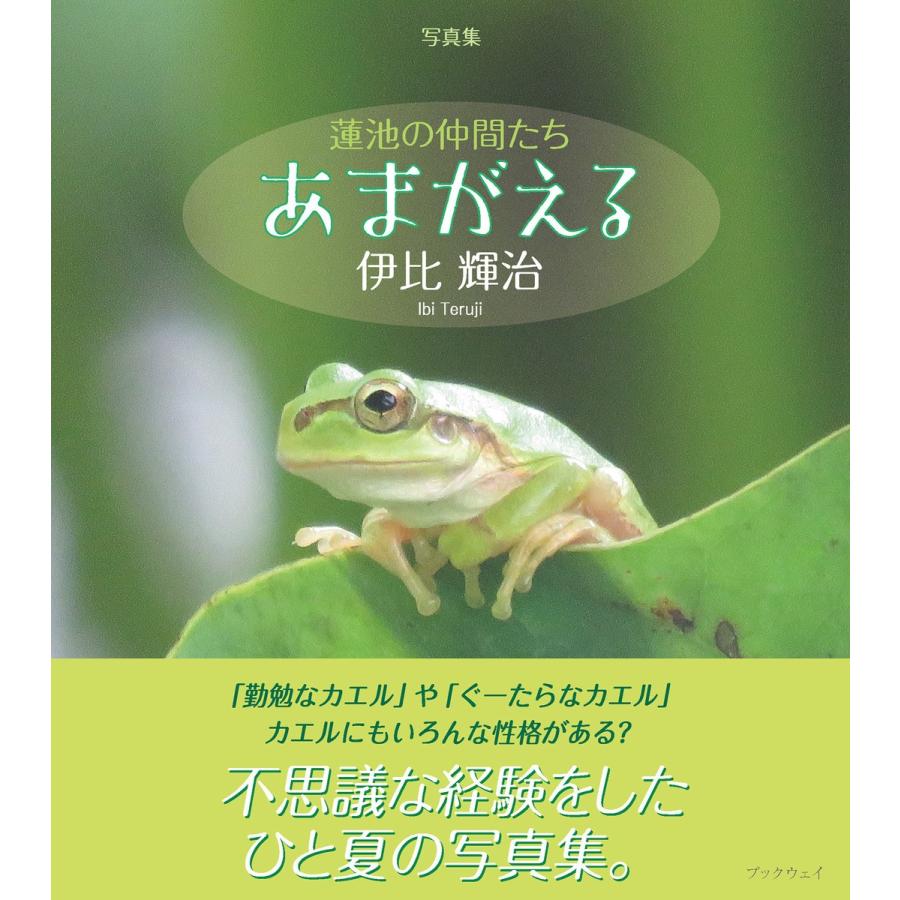 蓮池の仲間たち あまがえる 写真集 伊比輝治 著