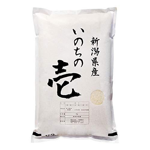 新潟県産 いのちの壱 白米 5kg 令和5年産