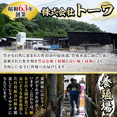 ふるさと納税 佐伯市 生簀直送 とらふぐ 鍋 セット (4-5人前)