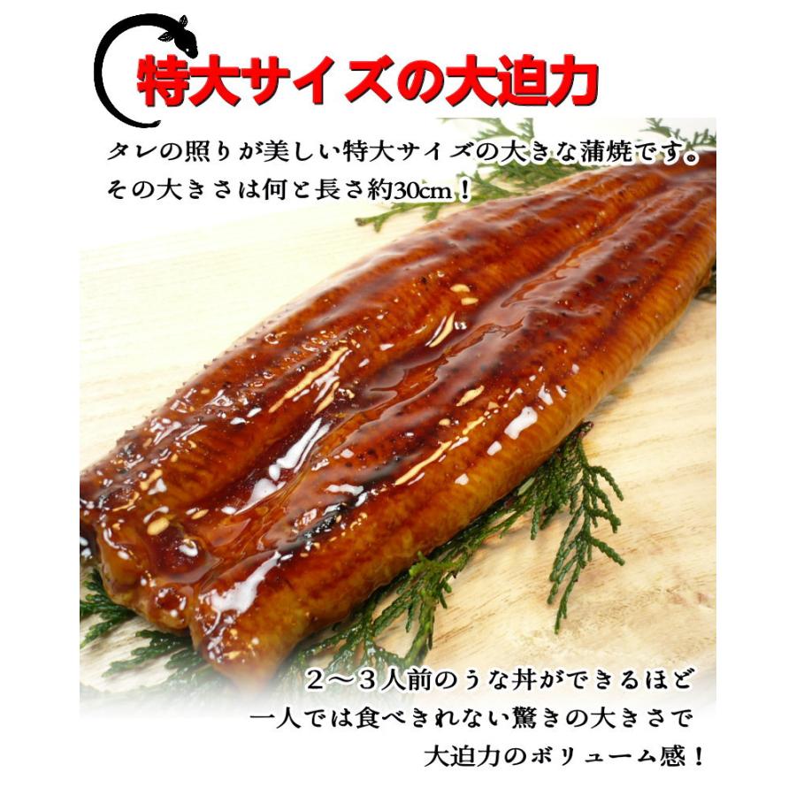 うなぎ 蒲焼き　250gの特大サイズ  ウナギ うなぎ ギフト　２尾購入で１尾おまけ付き　送料無料・うなぎ蒲焼・