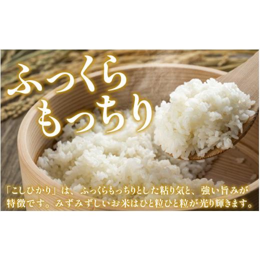 ふるさと納税 福井県 大野市 ベストファーマー ほたるの里 特別栽培こしひかり 6kg（2kg×3）× 10回 計60kg 化学肥料不使…