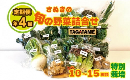 野菜 特別栽培 定期便 セット 4回 詰め合わせ 大容量 栽培期間中農薬不使用 10～15種類 TAGATAME タガタメ 旬の採れたて お野菜 詰め合わせ セット 