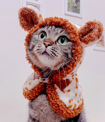 (10%捐公益)披著萌皮的貓系列_牛角扣連帽披肩(豹豹虎)