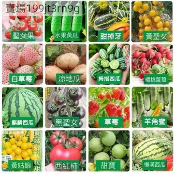 現貨 52款水果種子大全（100粒） 田園水果種子 超全熱銷品種 草莓 聖女果 羊角蜜 哈密瓜 西瓜 水果陽台庭院農家