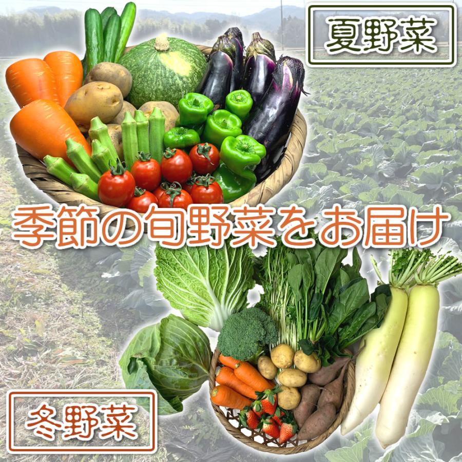 野菜セット 旬の野菜 野菜詰め合わせ 毎日の食事に欠かせない 6〜9種 おまかせ野菜 三重 伊勢産 協生農法 有機野菜 入り 露地野菜 旬野菜 生産者直送 送料無料