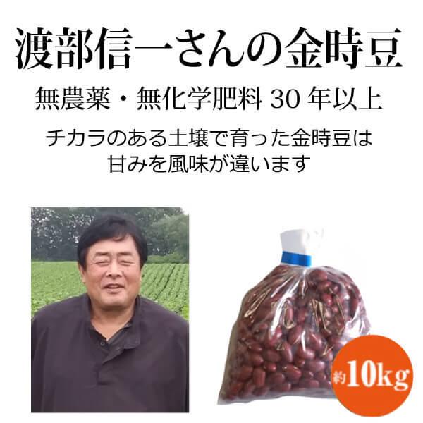 北海道産 無農薬金時豆 渡部信一さんの金時豆約10kg（約1kg×10袋） 無農薬 無化学肥料栽培30年の美味しい金時豆 渡部さんは化学薬品とは無縁