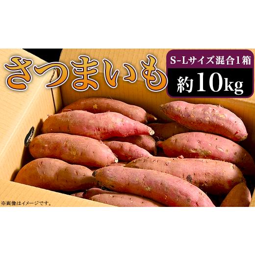 ふるさと納税 茨城県 阿見町 66-06 さつまいも 約10kg S〜Lサイズ混合1箱 生芋 紅はるか