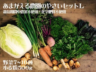 あまがえる農園のやさいセットL（栽培期間中農薬・化学肥料不使用）