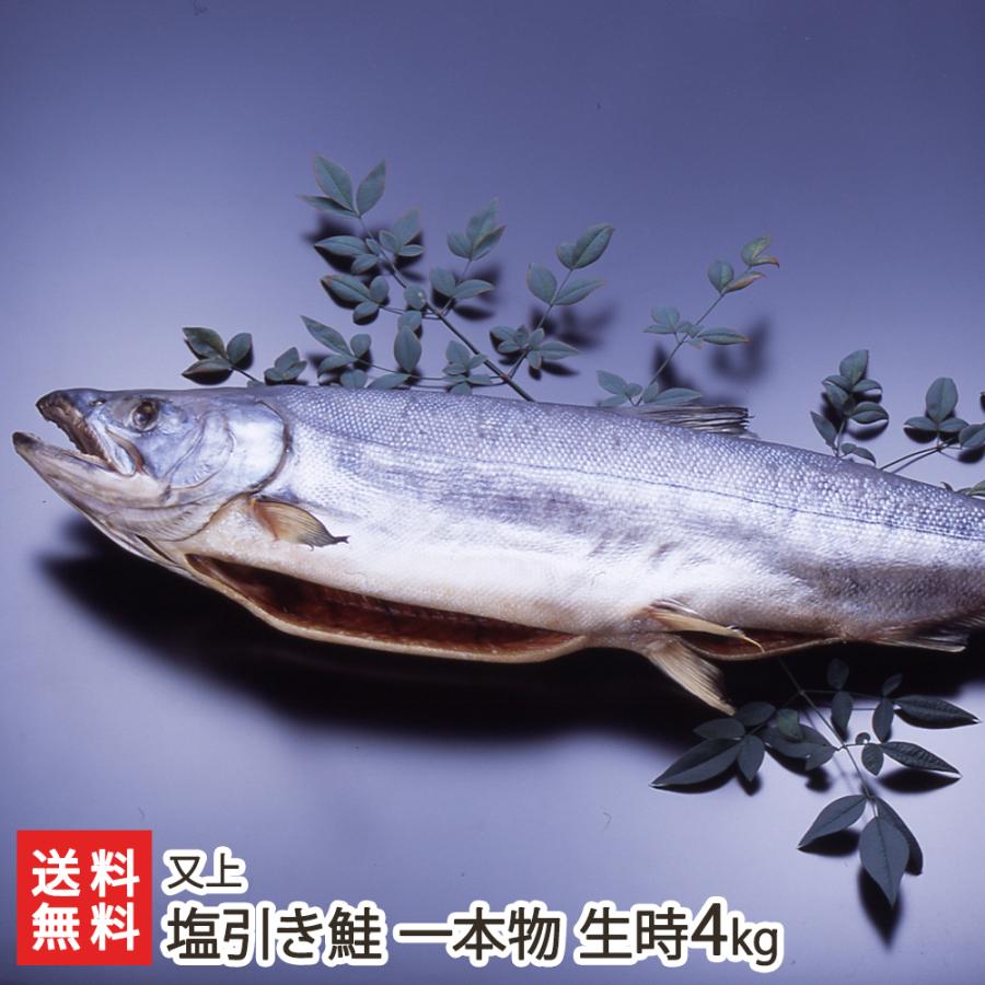 塩引き鮭 一本物 生時4kg※漁獲時の鮭の重さを表記しております 又上 送料無料