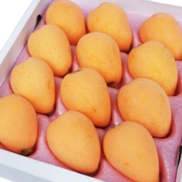 【RealShop 真食材本舖】日本長崎溫室枇杷禮盒 500g±10% 約8-10顆(當季空運 水果禮盒)