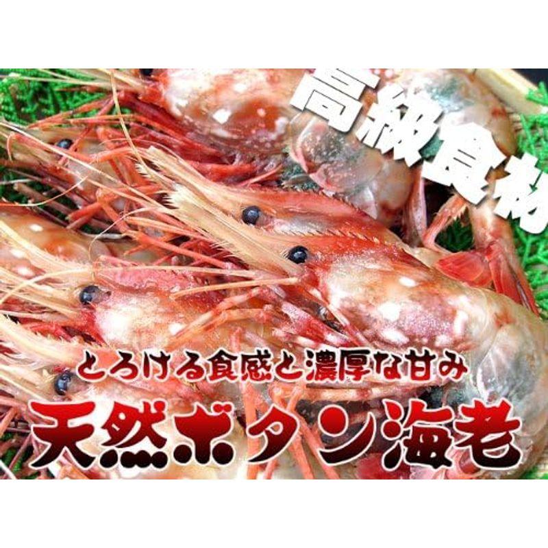 天然ボタンエビ 500g Lサイズ ぼたんえび 刺身で食べれる牡丹海老 高級ボタン海老 牡丹エビ