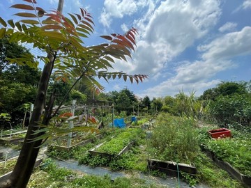 龍潭近市區富華街三林段臨路農舍農地｜桃園市龍潭區三林段