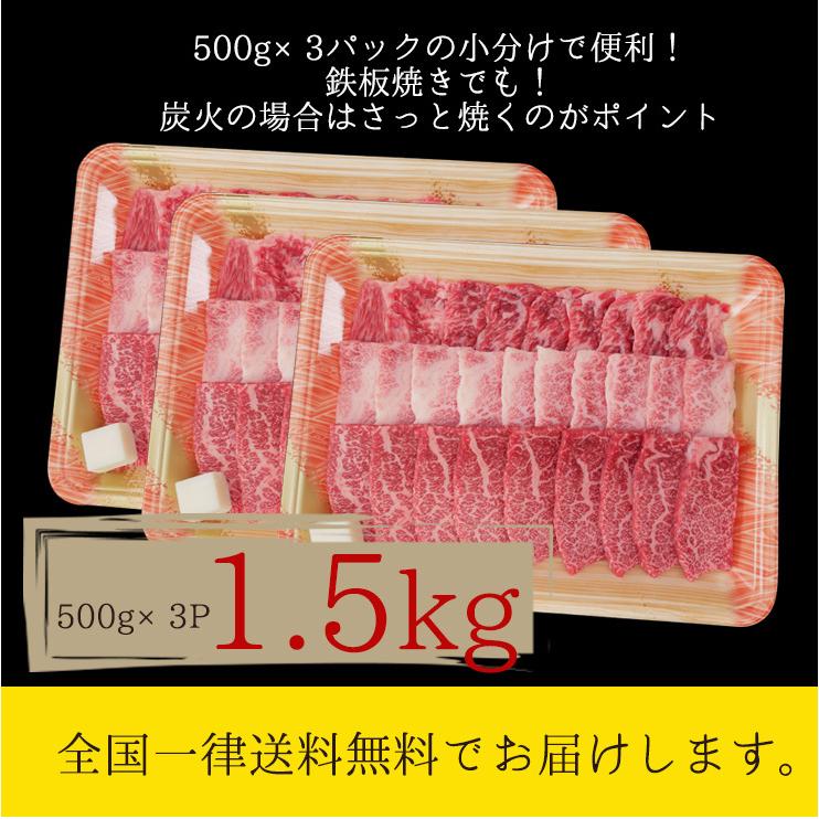 肉 福袋 牛肉 焼肉セット 飛騨牛 メガ盛 カルビ 1.5kg 約6人〜7人 焼肉 焼き肉 黒毛和牛 バーベキュー バーベキューセット