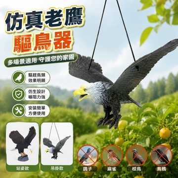 驅鳥神器✨仿真老鷹 驅鳥器 嚇鳥趕鳥神器 仿生裝飾 園藝擺件 驅鳥多場景適用戶外 老鷹嚇鳥花園果園陽臺專用驅鳥神器仿真假