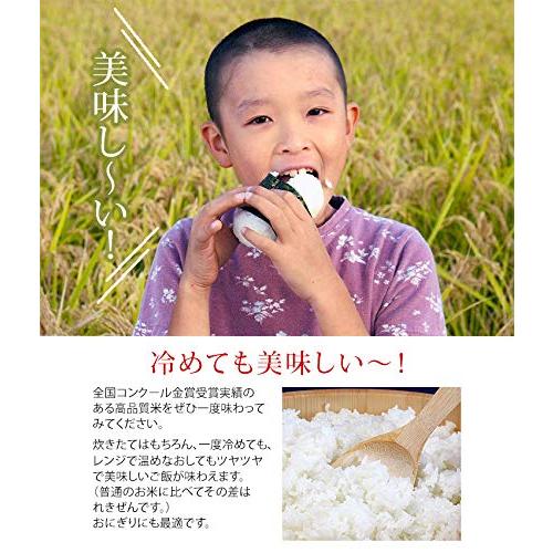 新米 令和5年産 特別栽培米コシヒカリ 30kg （紙袋入）（30kg×1袋）