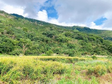 專任*瑞穗鄉蝴蝶谷幽靜一般農牧用地（裡地）｜花蓮縣瑞穗鄉源北段