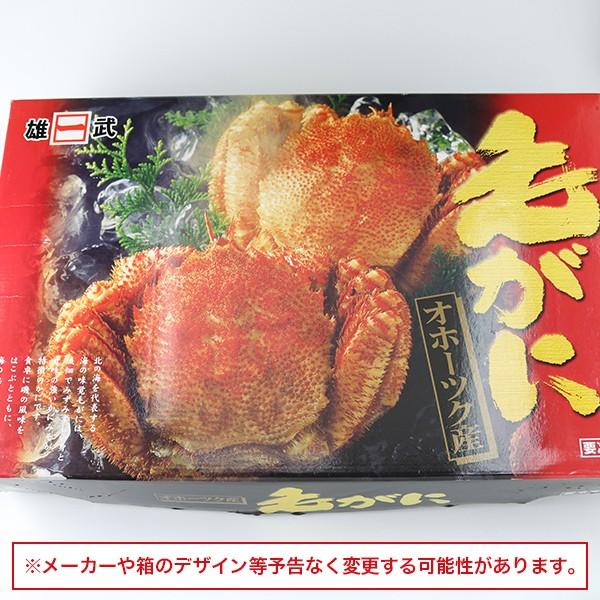 北海道産 毛ガニ 特大サイズ 6尾 4kg 毛蟹 ケガニ 蟹 送料無料 グルメ 食品 優良配送 お歳暮 ギフト 10%クーポン