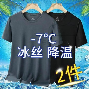 兩件裝冰絲速幹短袖T恤 男士夏季薄款透氣休閒運動修身圓領大碼網眼短袖 透氣短袖 大碼短袖 圓領短袖