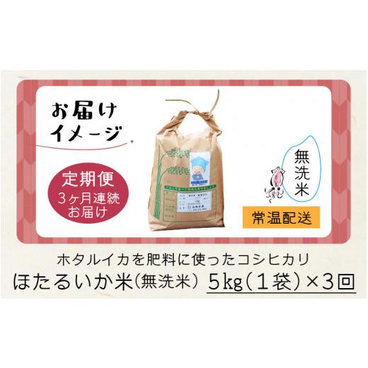 ふるさと納税 富山県 滑川市 ほたるいか米（無洗米５kg）×3回 計15kg