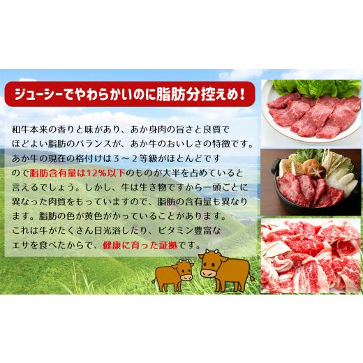 ふるさと納税 熊本県 和水町 肥後の赤牛　すき焼き用 500g