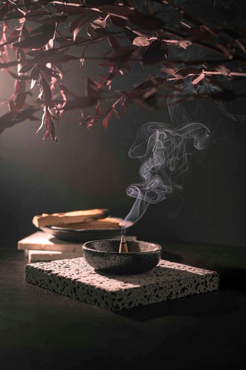 【Sanctuary】Palo Santo Incense Cones 【聖域】聖木塔香