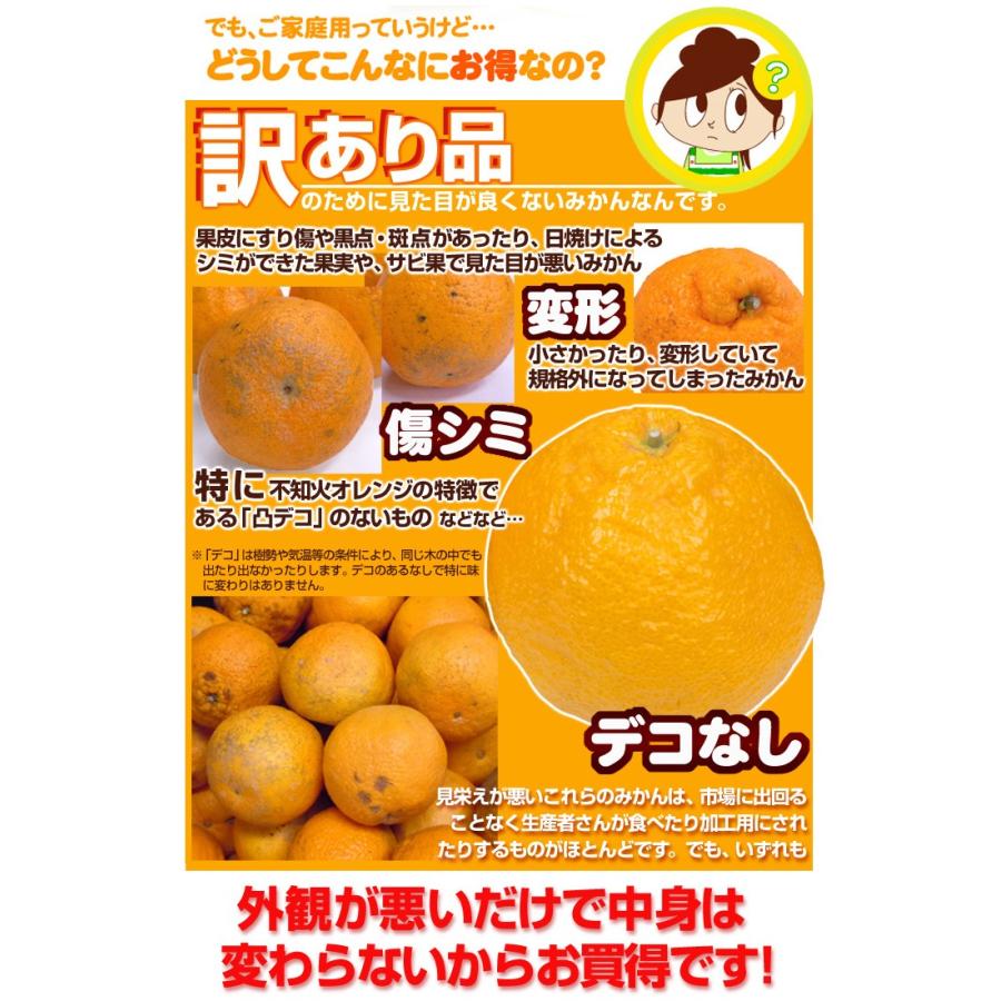 みかん 10kg 不知火オレンジ 熊本産 ご家庭用 送料無料 食品