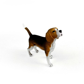 動物模型【 COLLECTA 】米格魯