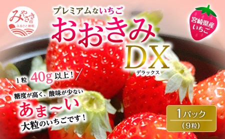 宮崎県産 イチゴ おおきみDX 1パック(9粒) いちご 苺 果物 期間・数量限定