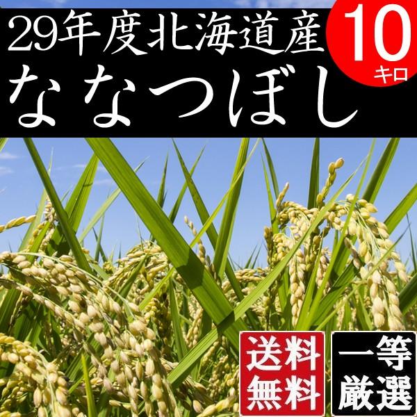 お歳暮 ギフト 食べ物 ななつぼし -お試し 特A米  お米 10kg 北海道ＪＡ東川町産 検査一等米 新米