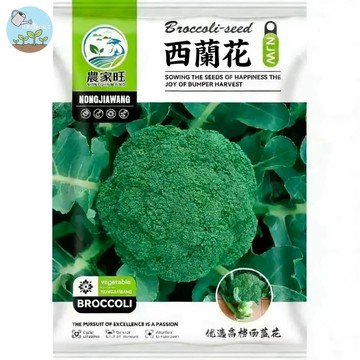 【原廠包裝】青花菜/西蘭花種子（Broccoli）400粒裝  耐熱品種 家庭蔬菜盆栽 陽台可種 好種快速收成