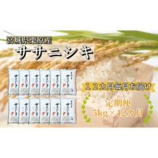 宮城栗原産 ササニシキ 白米5kg全12回