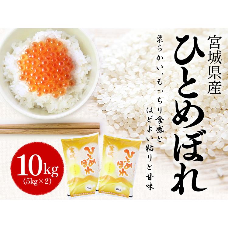 ひとめぼれ 10kg 米 10kg 送料無料 お米 10kg 白米 送料無料 安い 宮城県産 一等米 白米 うるち米 5kg×2 ごはん 令和5年産