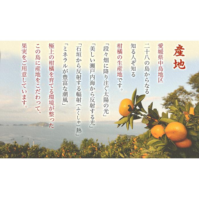 お歳暮 みかん 紅まどんな 赤秀 2L〜Mサイズ 1.5kg 6玉〜10玉 愛媛県産 JAえひめ中央 中島選果場 蜜柑 ミカン ギフト お取り寄せ