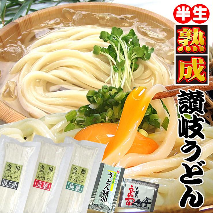 クーポン利用で！1000円 20時間熟成 半生 讃岐うどん 3種麺 つゆ付きセット 便利な個包装 750g 送料無料 最安値挑戦 得トクセール 特産品