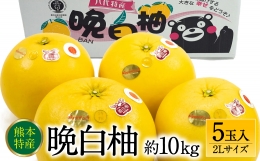 晩白柚 2Lサイズ 10kg（約2kg×5玉)