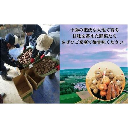 ふるさと納税 北海道十勝幕別町のこだわり秋野菜　小セット 北海道幕別町