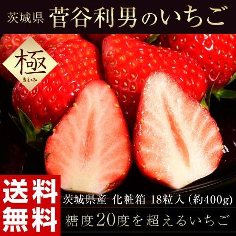 送料無料》茨城県産 菅谷利男の高糖度いちご「極(きわみ)」 1箱：18粒 