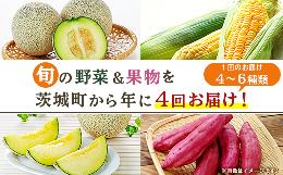 162茨城町産「旬の野菜果物」セット