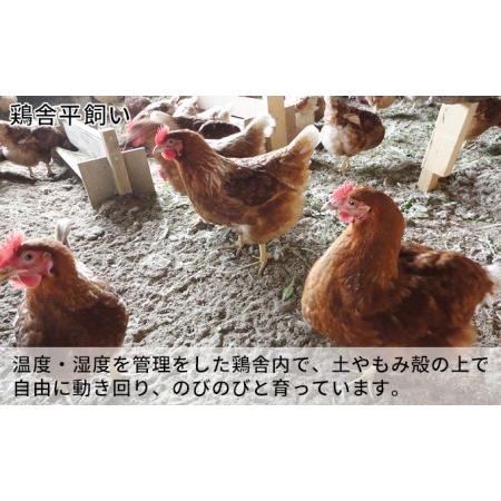 ふるさと納税 北海道 豊浦 おふけしの平飼い卵 48個 北海道豊浦町