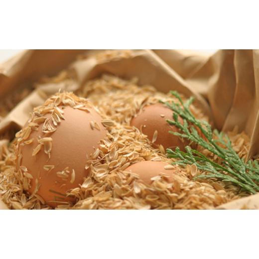 ふるさと納税 兵庫県 小野市 卵 『あおの里のこだわり卵』10個入×3パック