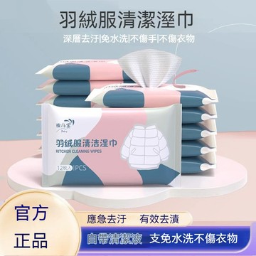 ⚡台灣出貨⚡羽絨服清潔濕巾 免洗強力去汙便攜家用幹洗濕紙巾 去汙漬專用衣物清潔濕紙巾 去汙去油家用乾洗劑 便携乾洗神器