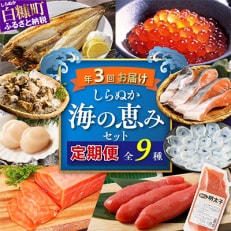 しらぬか海の恵みセット (年3回定期便) 全3回