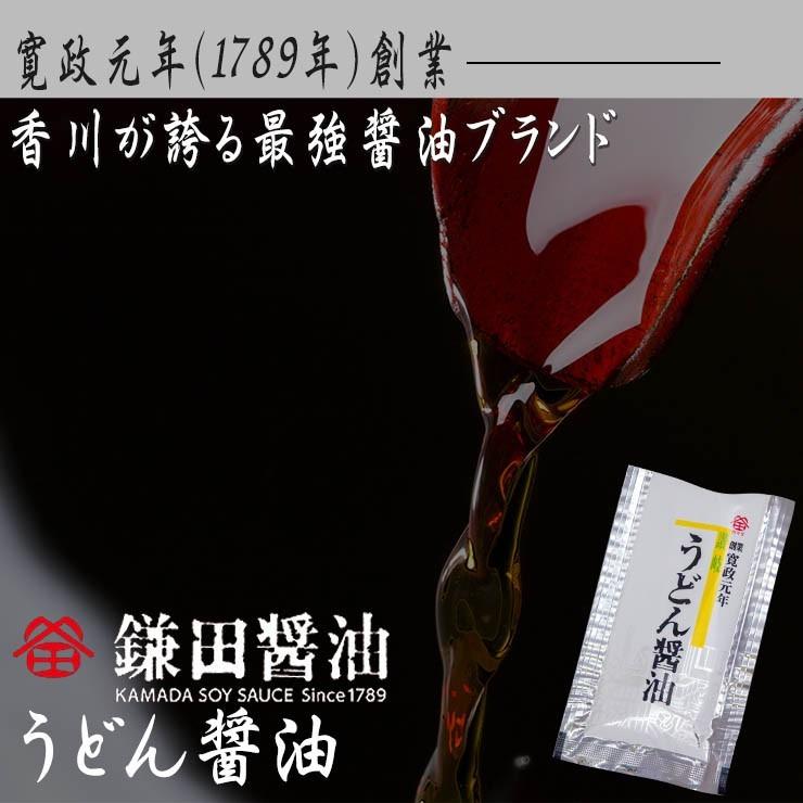 送料別 金福 純生・完熟 讃岐うどん 250g×2袋   つゆ・醤油×4袋付きセット