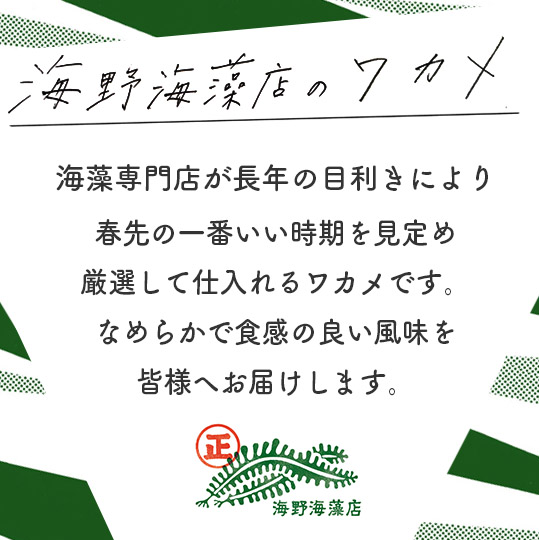 しゃきしゃき 湯通し塩蔵わかめ 1.5kg （300g×5パック） 国産 三陸産 海野海藻店 わかめ 塩蔵わかめ 湯通し不要