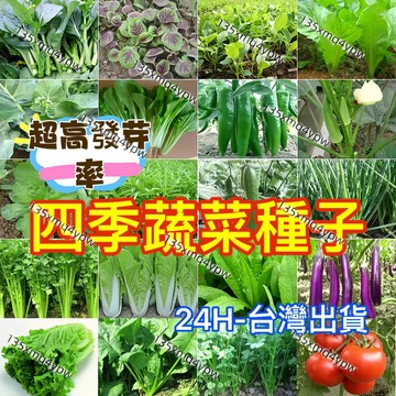 現貨多品種四季蔬菜種子（100粒）五十天可生長 可多次採摘 家庭蔬菜 雞毛菜 番茄 菜心上海青 空心菜 香菜 玉米 南瓜